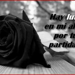 Meet your Posher, Dany